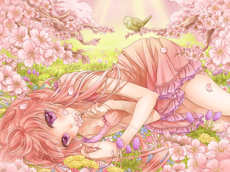 Pink-haired Girl in Field — Pink, Serene, Spring, Anime, Cherry Blossoms