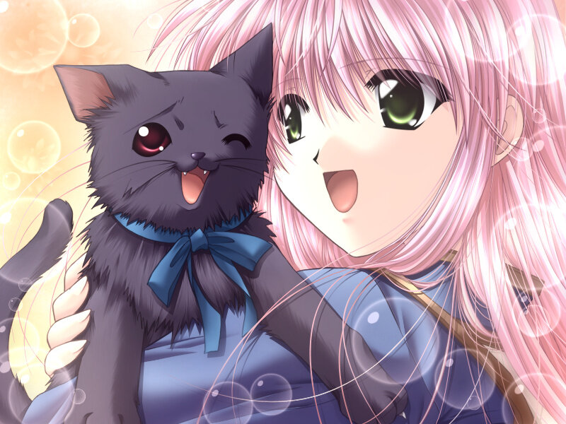 Pink-haired Girl with Black Cat — Pink