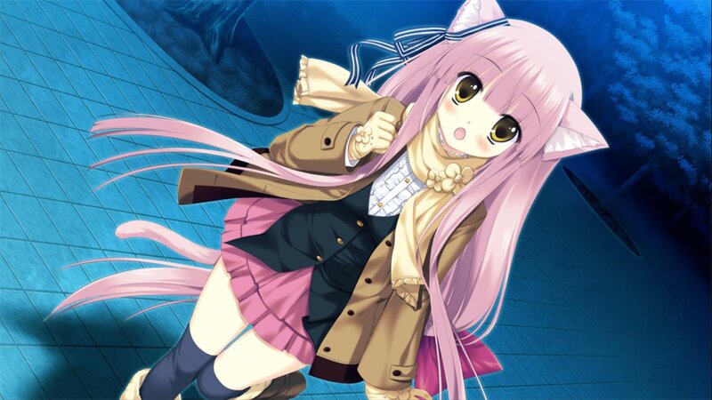 Pink-haired Girl with Cat Ears — Blue, Playful
