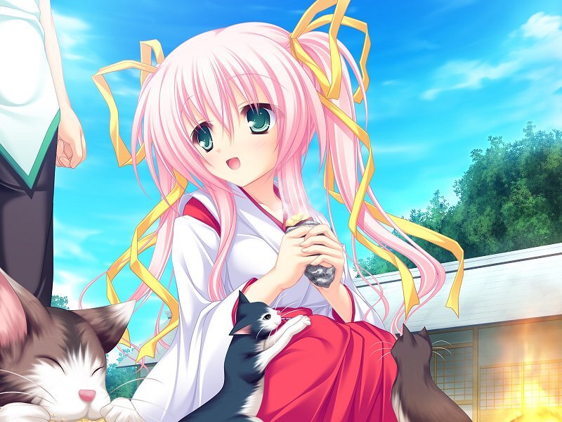 Pink-haired Girl with Cats — Pink, Serene