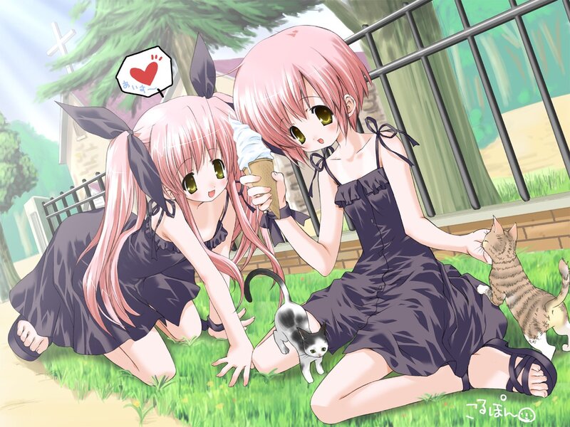 Pink-haired girls with cats