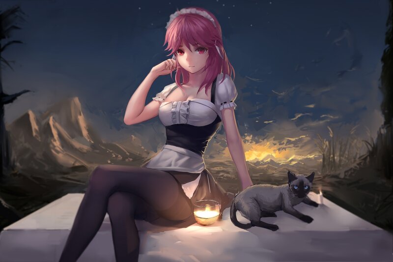 Pink-haired Maid with Cat