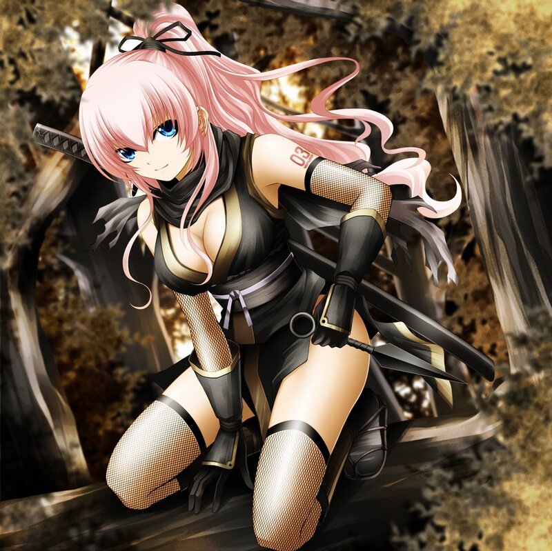 pink-haired ninja warrior