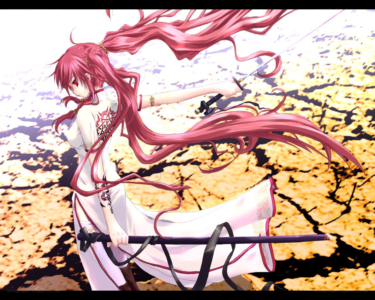pink-haired warrior with swords