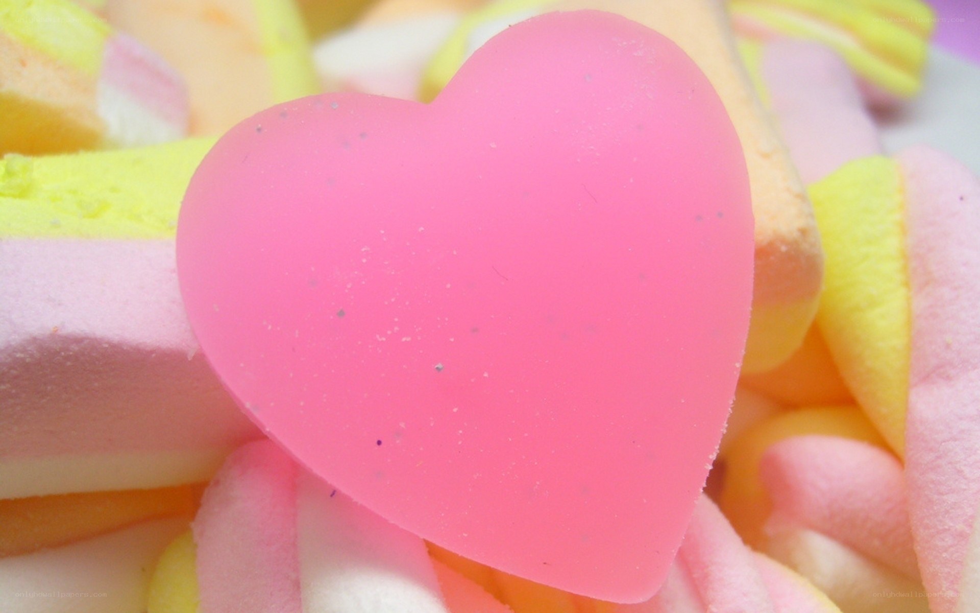 pink heart candy close-up