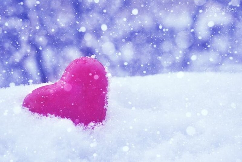 Pink Heart in Snow