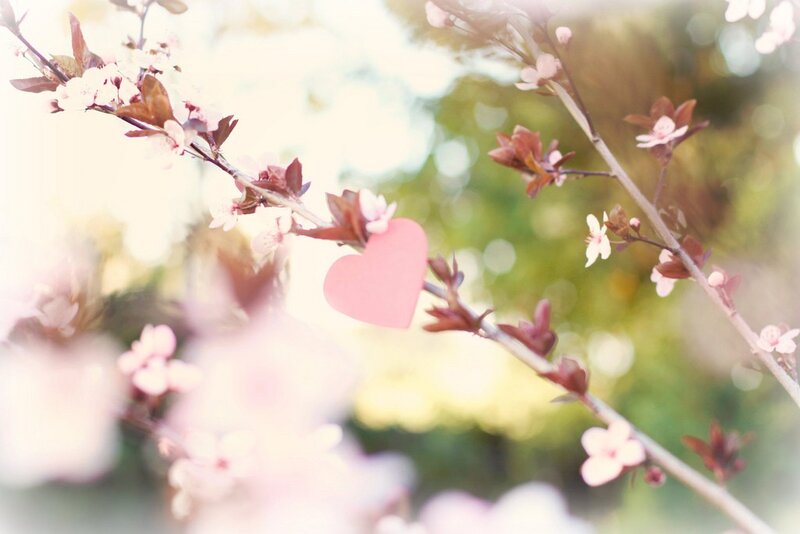 Pink Heart on Branch — Serene