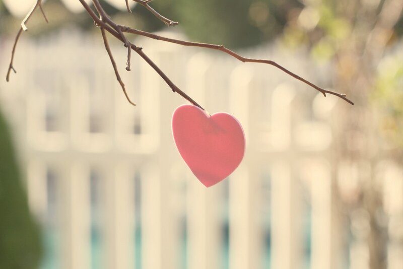 Pink Heart on Branch