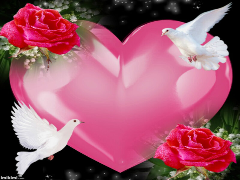 Pink Heart with Roses — Romantic, Night