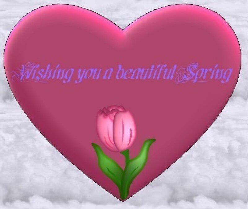 Pink Heart with Tulip