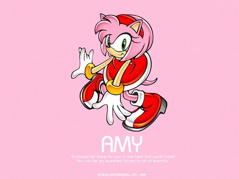 Pink Hedgehog Character