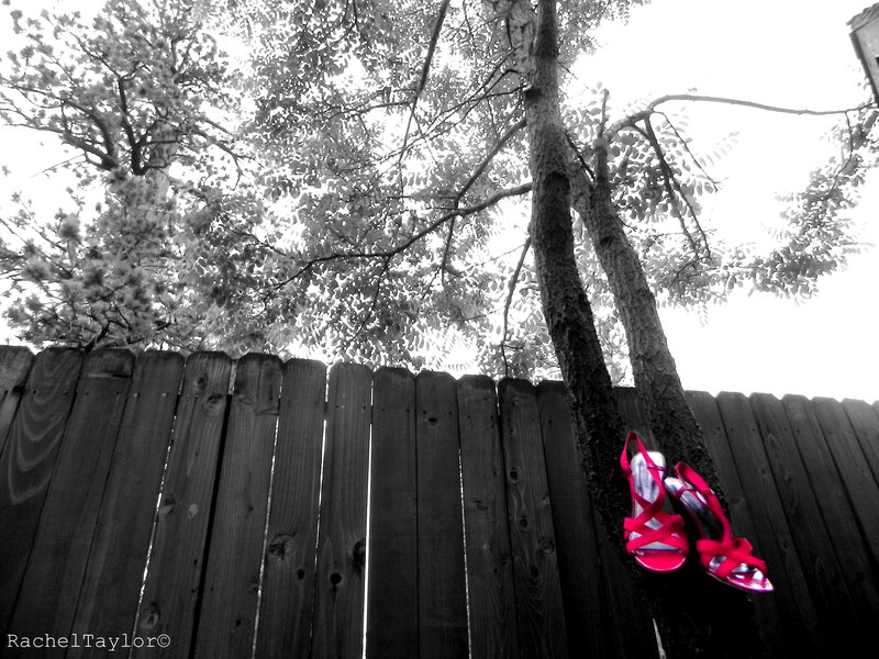 Pink heels on a tree
