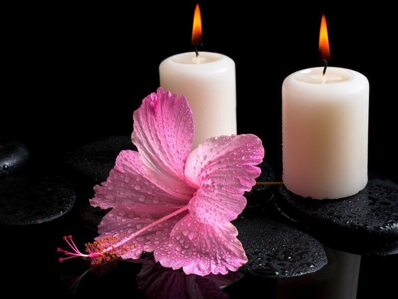 Pink Hibiscus Flower — Black, Serene