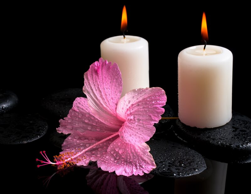 Pink Hibiscus Flower — Black