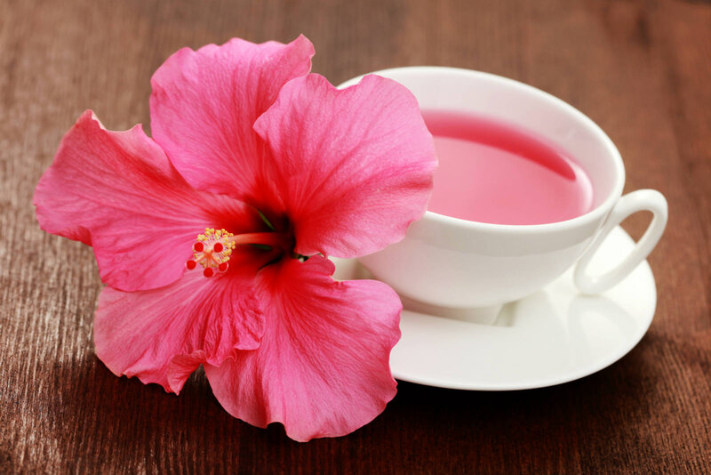 Pink Hibiscus Flower — Calm, Photograph, Cup