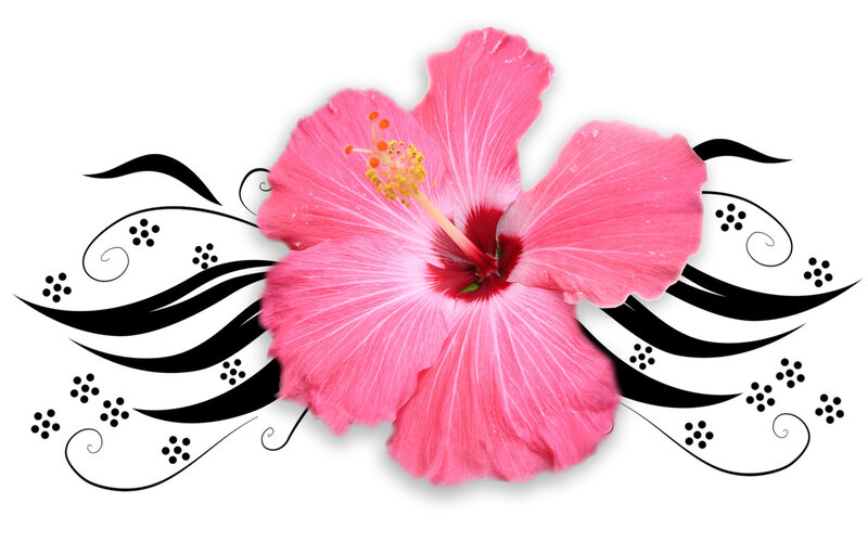 pink hibiscus flower design