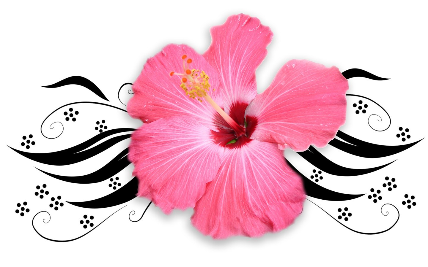 pink hibiscus flower design