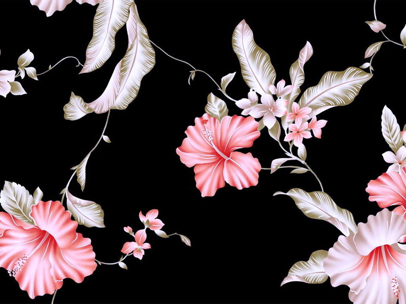 Pink Hibiscus Flowers — Black