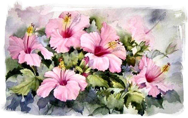 Pink Hibiscus Flowers — Serene, Painting