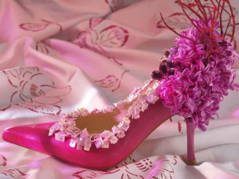 Pink High-heeled Shoe — Elegant