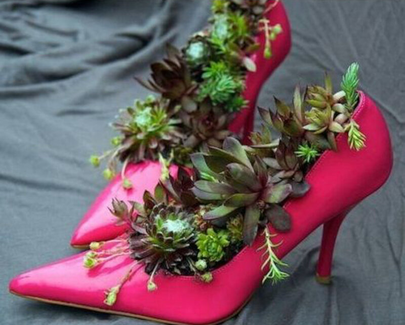 Pink High Heels with Succulents