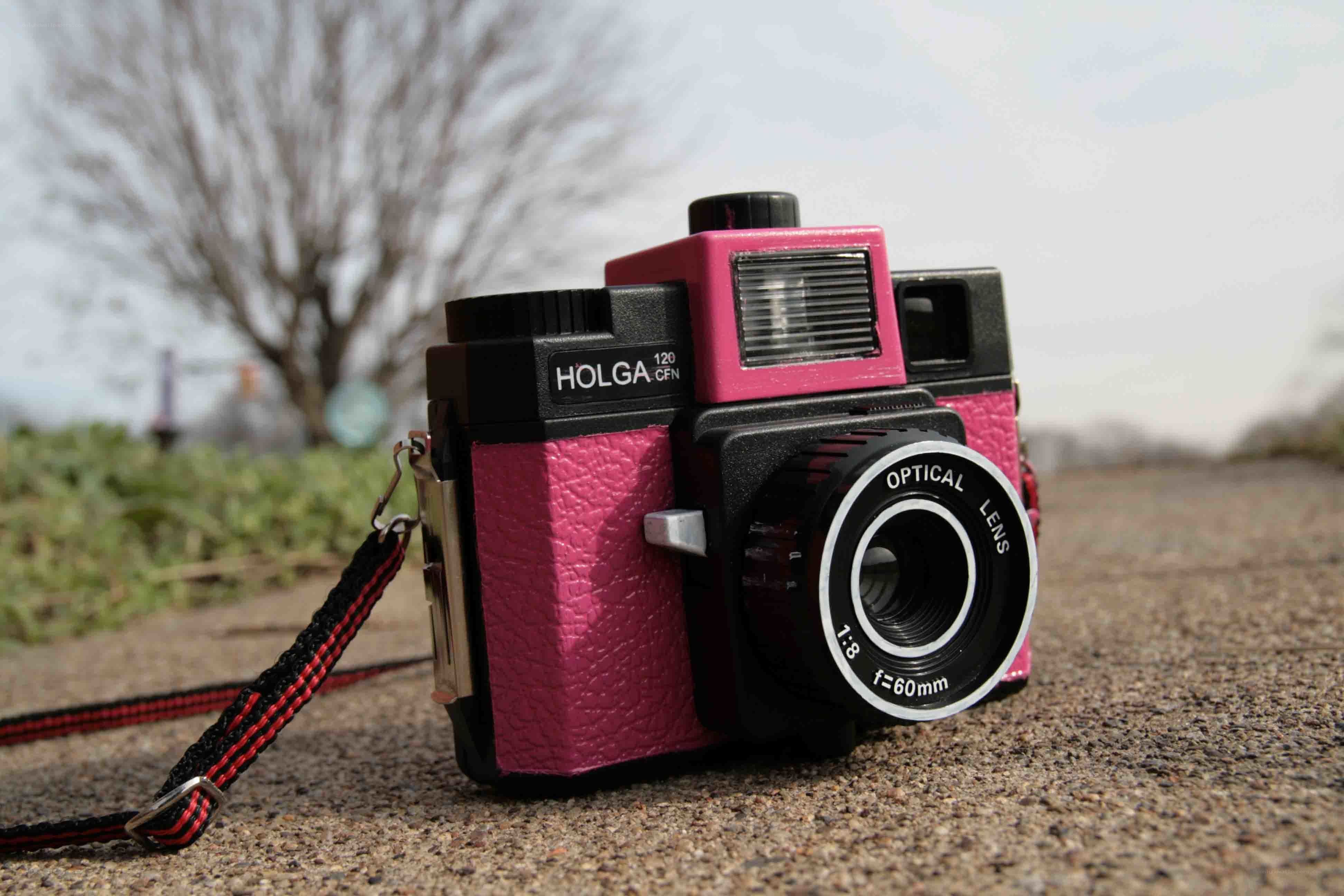 Pink Holga film camera