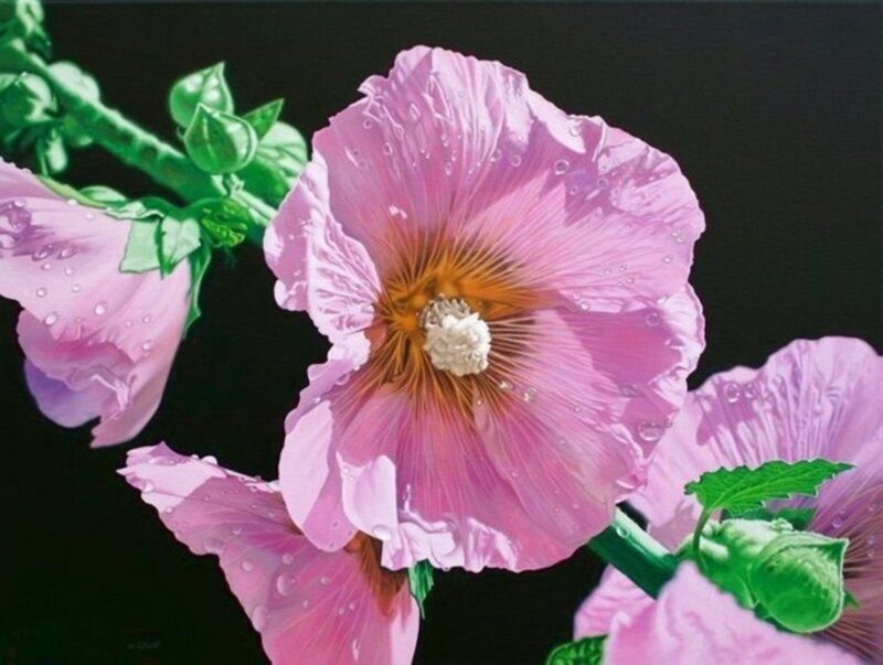 Pink Hollyhock Flowers — Dramatic, Painting