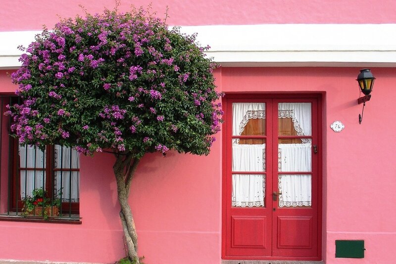 Pink House with Flowering Tree — Calm