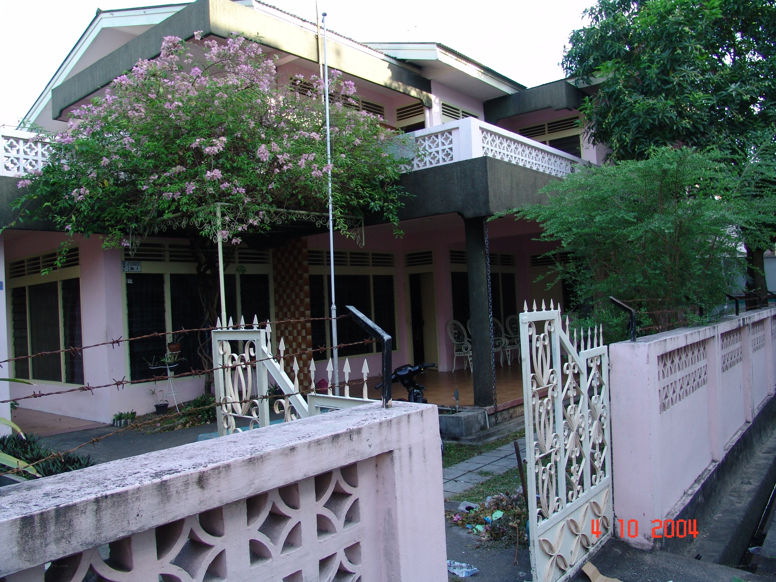 pink house with flowering tree