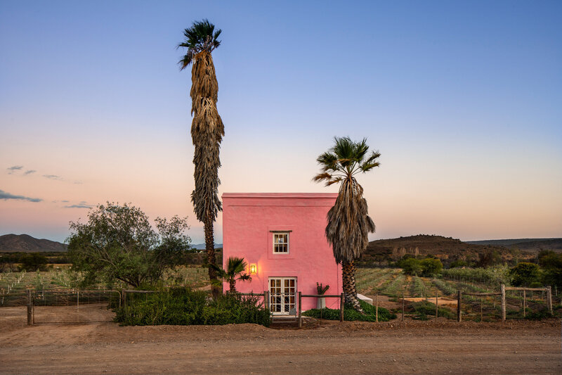 Pink House with Palm Trees — Serene