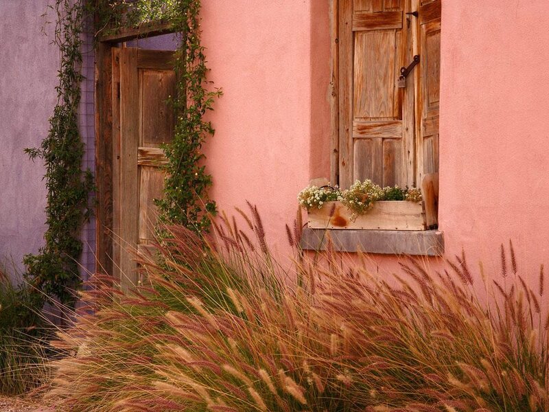 pink house with wild grass