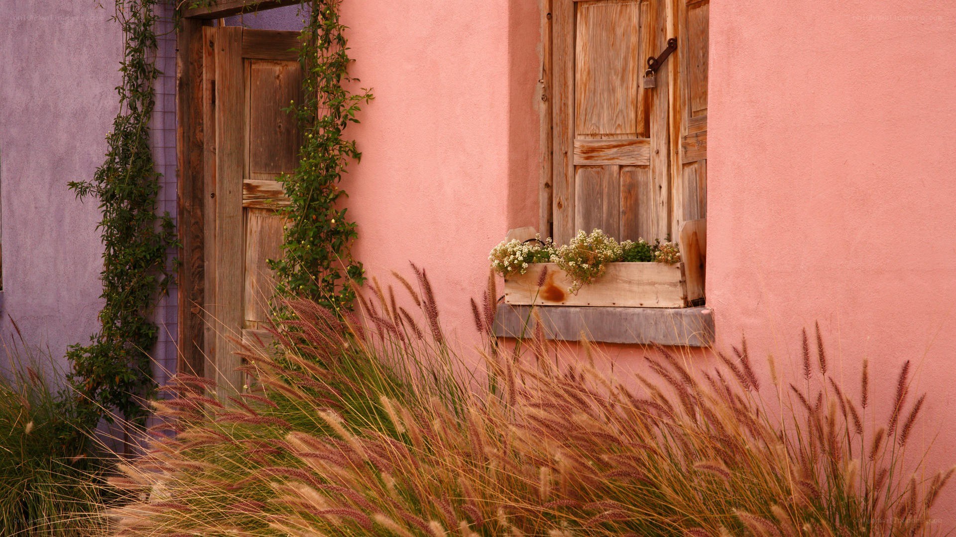 pink house with wooden window