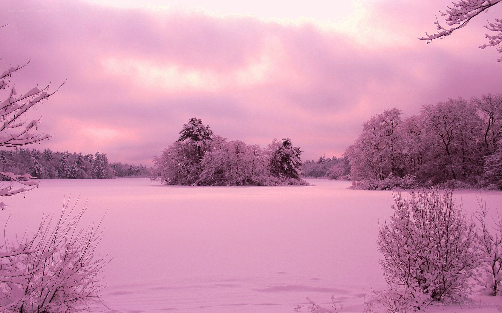 Pink-hued winter lake scene