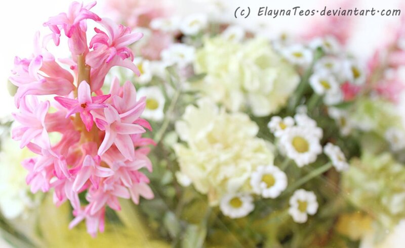 Pink Hyacinth Flower — Serene, Spring