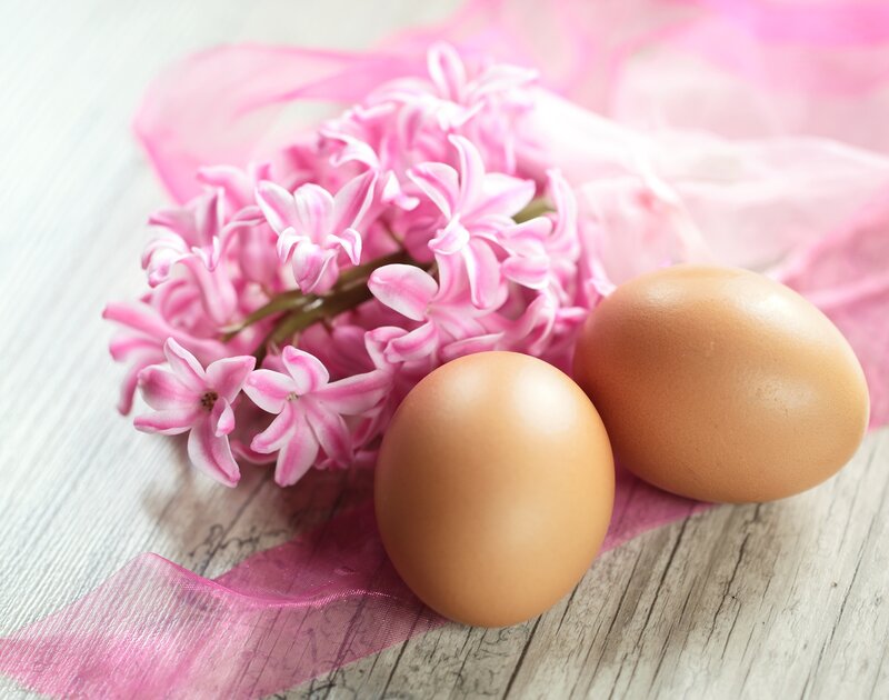 Pink Hyacinth Flowers — Serene, Spring, Photograph, Eggs