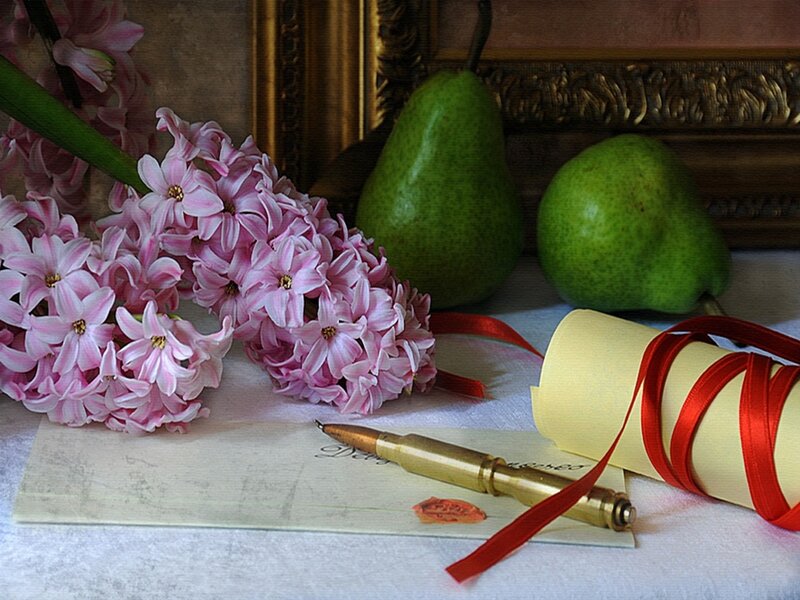 Pink Hyacinth Flowers — Serene