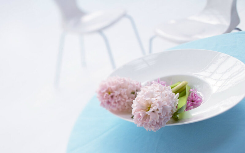 Pink Hyacinth Flowers — White, Serene
