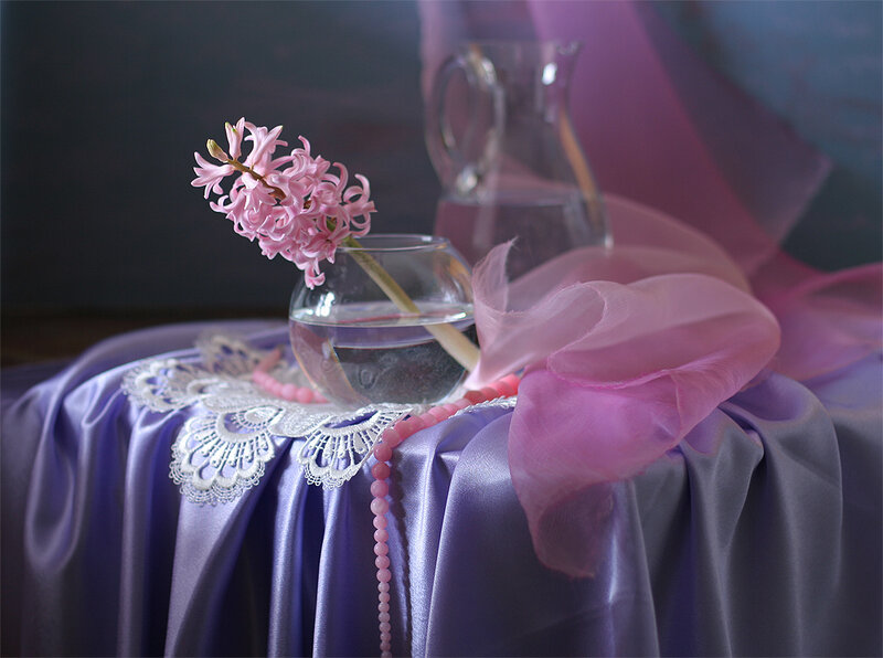 Pink Hyacinth in Vase