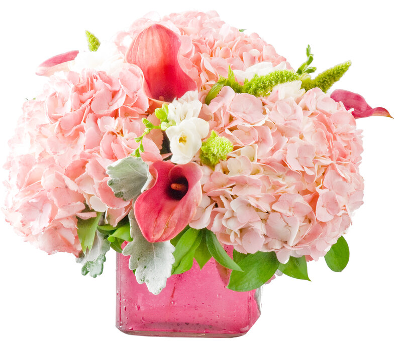 Pink Hydrangea Bouquet — Calm