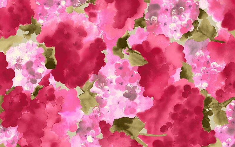 Pink Hydrangea Clusters