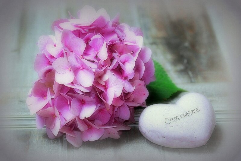Pink Hydrangea Flower — Serene, Photograph, Heart-shaped Stone