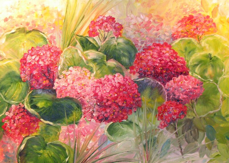 Pink Hydrangea Flowers — Vibrant, Afternoon