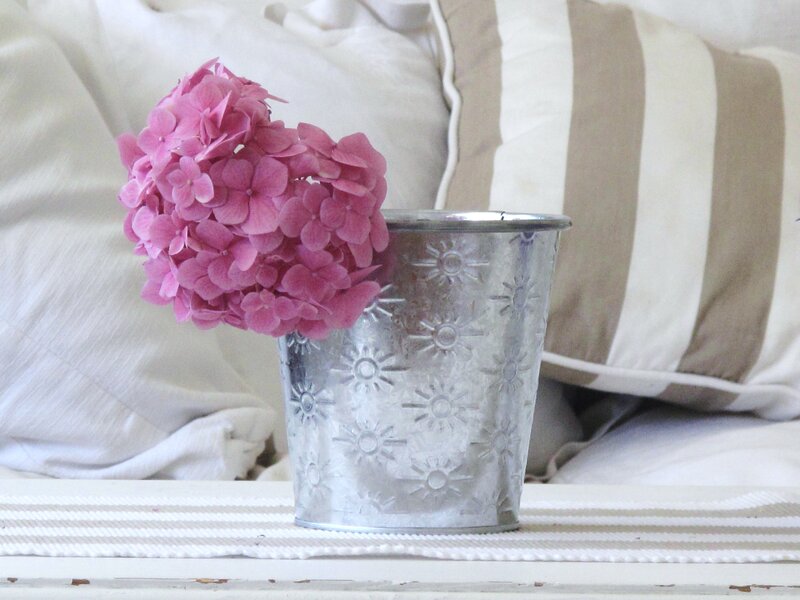 Pink Hydrangea in Bucket