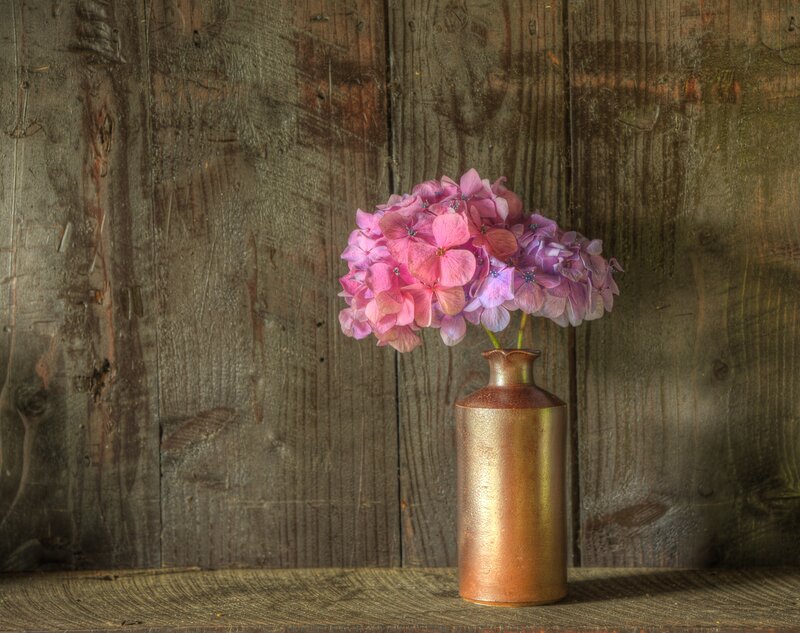 Pink Hydrangea in Vase — Calm