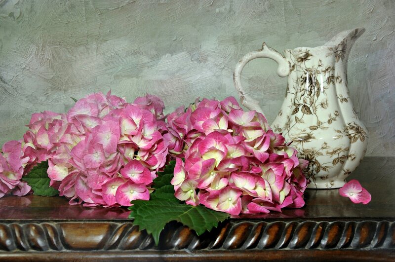 Pink Hydrangeas and Pitcher — Calm