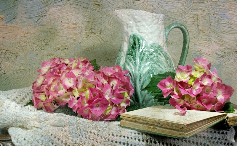 Pink Hydrangeas and Pitcher