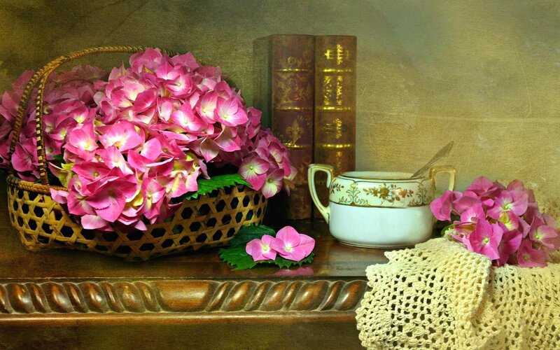 Pink Hydrangeas in Basket — Calm, Photograph