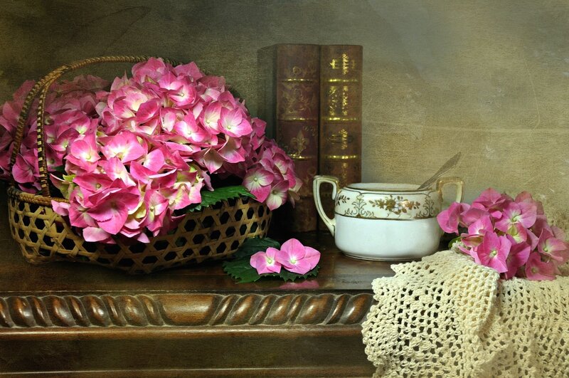 Pink Hydrangeas in Basket — Calm