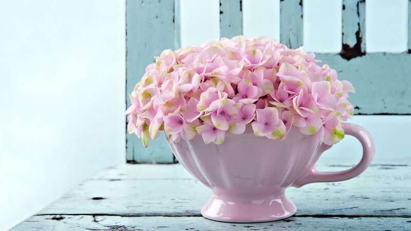 Pink Hydrangeas in Cup — Serene, Photograph, Wooden Surface