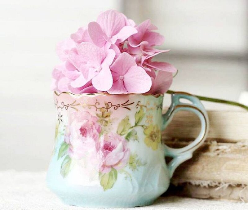 Pink Hydrangeas in Cup
